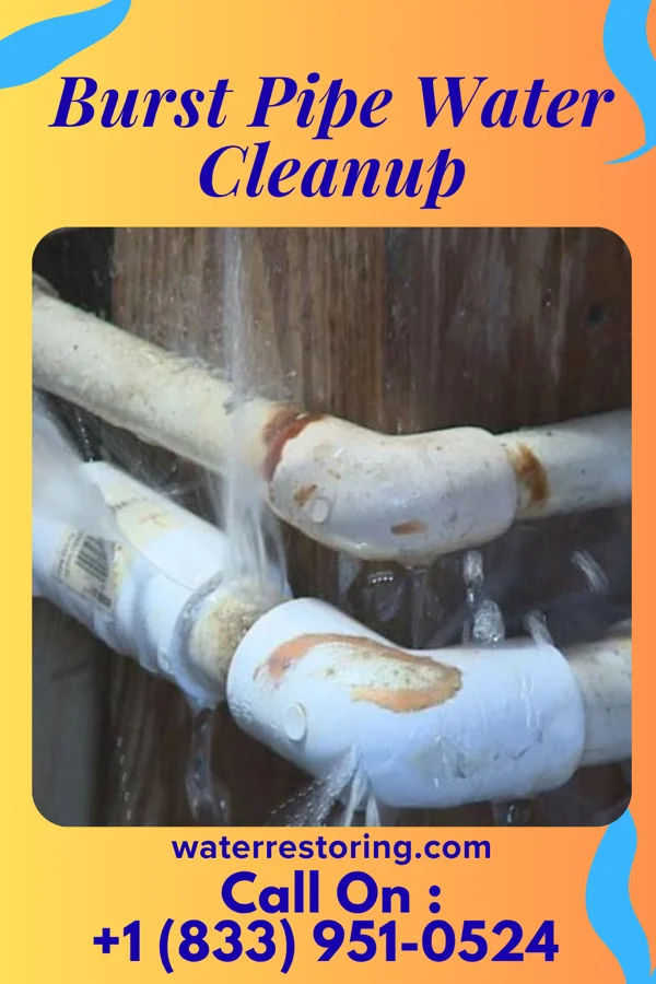 Burst Pipe Water Cleanup in Lexington, GA