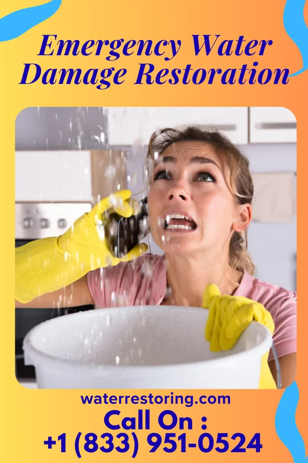 Emergency Water Damage Restoration in Lexington, GA