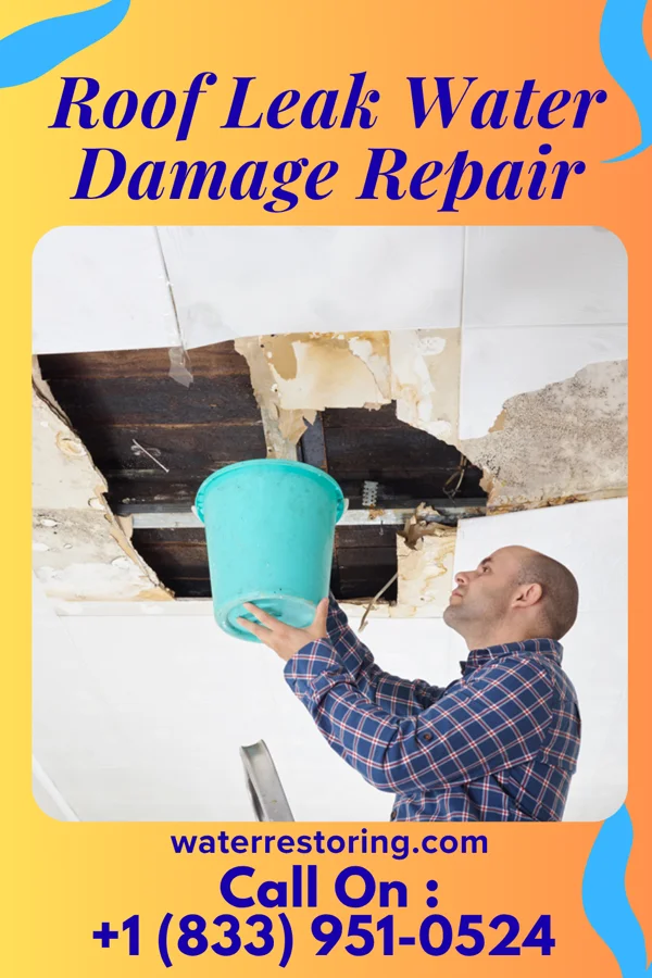 Roof Leak Water Damage Repair in Lexington, GA