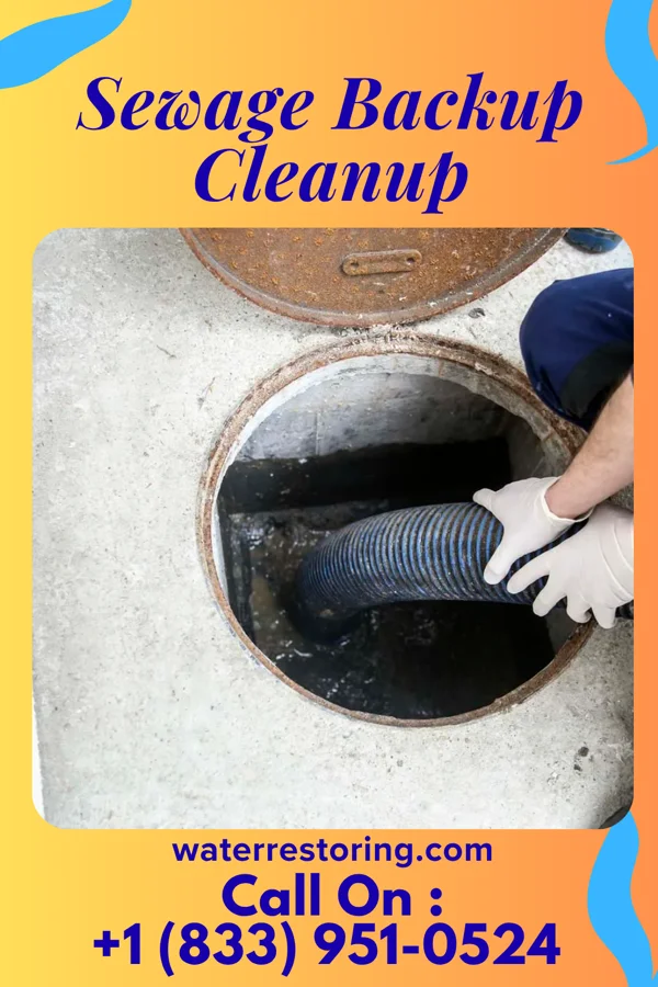 Sewage Backup Cleanup in Lexington, GA
